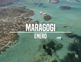 Maragogi - Enero